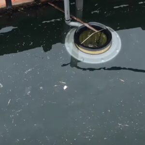 SEABIN（シービン）