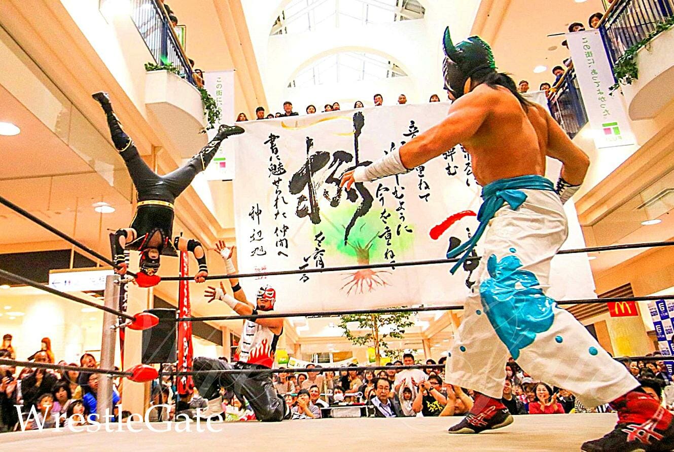 写真：レッスルゲートのプロレスの様子