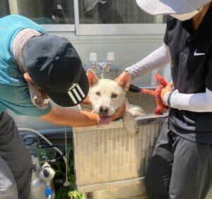セカンドゴール①